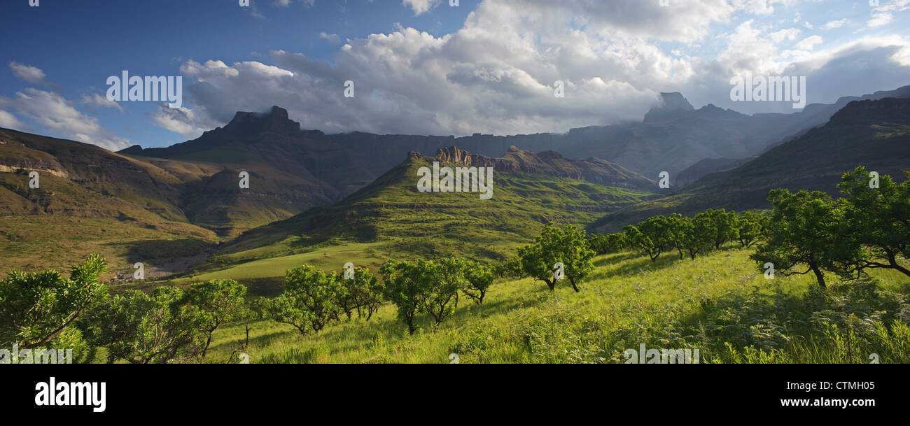 Gamma di anfiteatro nelle montagne Drakensberg, uKhahlamba Drakensberg National Park, Kwazulu-Natal-Sud Africa Foto Stock