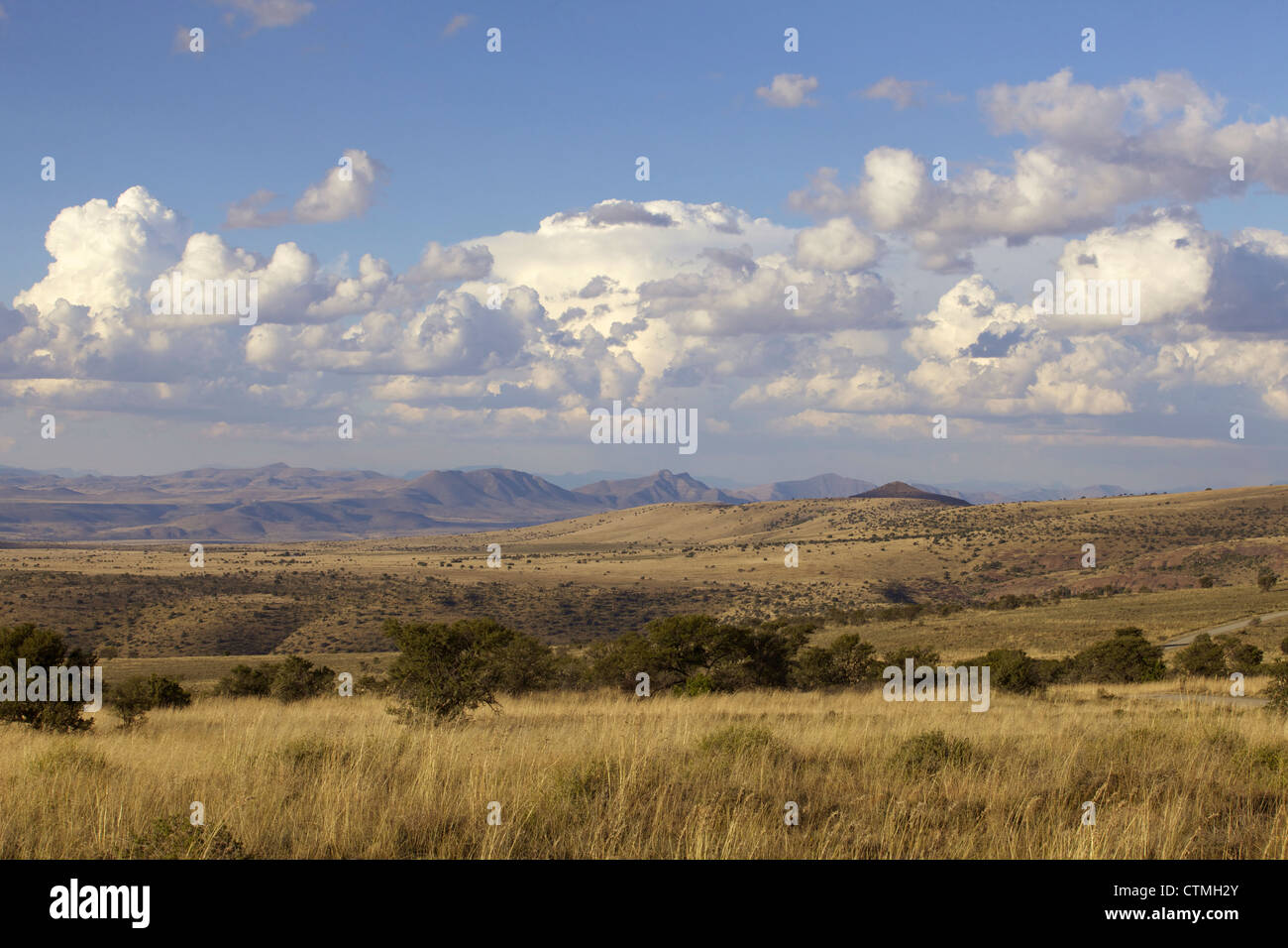 Una vista panoramica di Mountain Zebra National Park, Capo orientale, Sud Africa Foto Stock