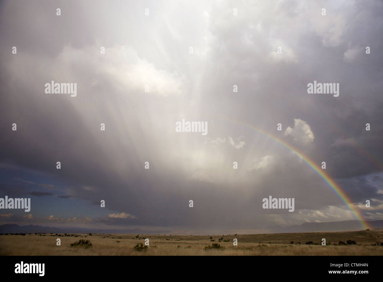 Un arcobaleno in Mountain Zebra National Park, Capo orientale, Sud Africa Foto Stock