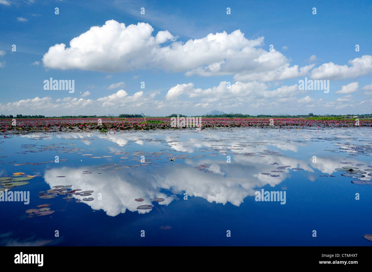 Cielo limpido riflesso in acqua Foto Stock