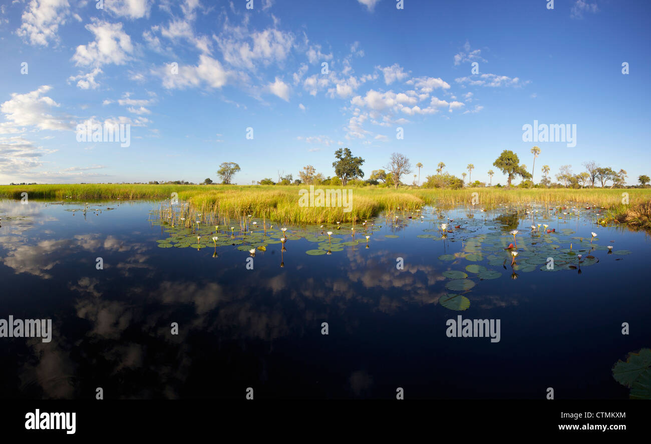 Una vista panoramica del delta dell'Okavango, Botswana Foto Stock