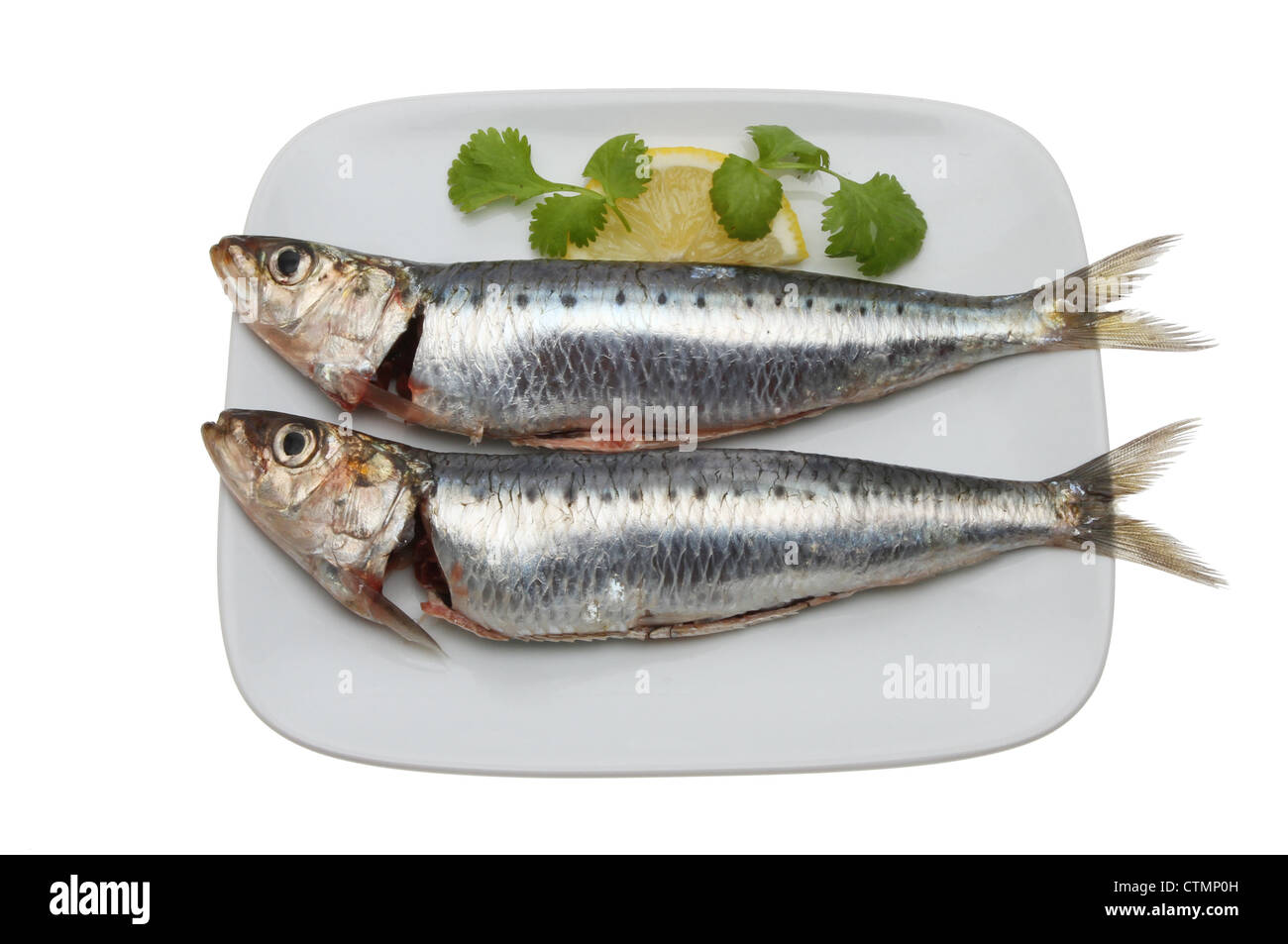 Due fresche sardine eviscerati con limone e prezzemolo e guarnire su una piastra isolata contro bianco Foto Stock