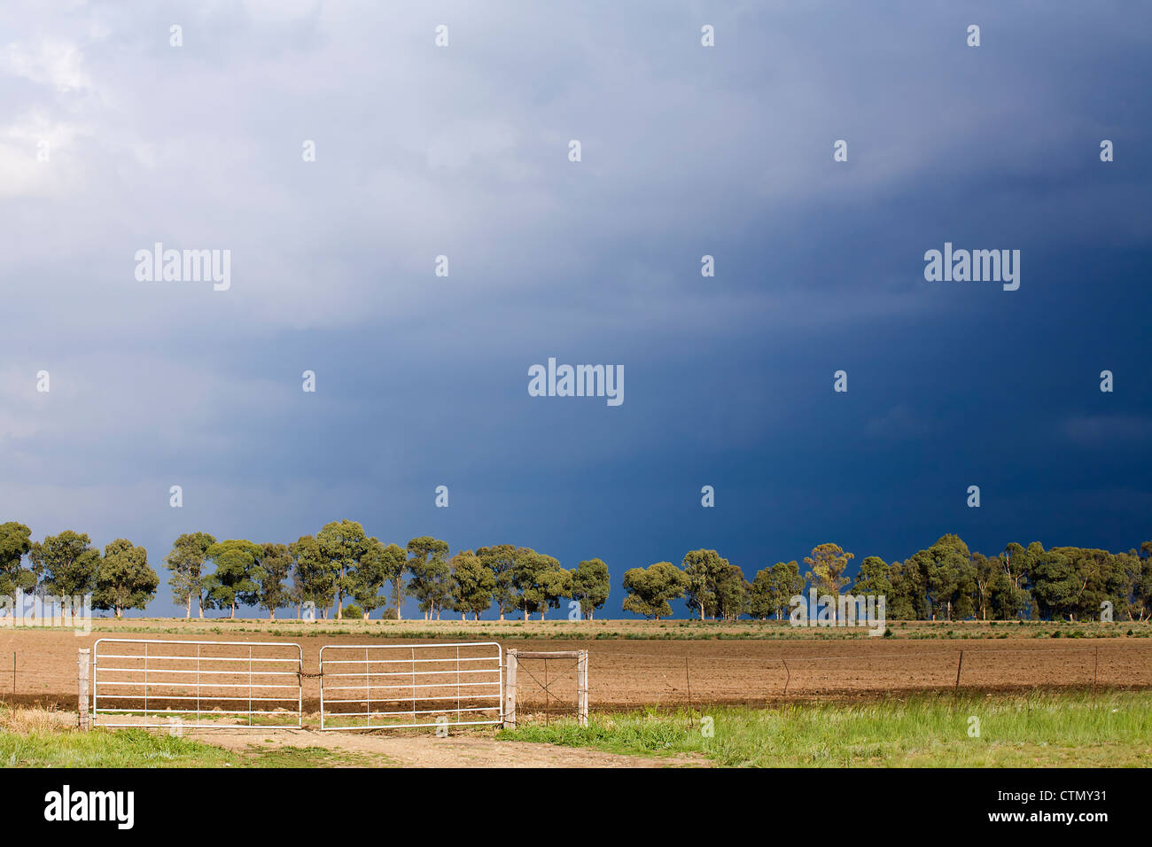 Rurale scena con fattoria e la recinzione, Orange Free State, Sud Africa Foto Stock