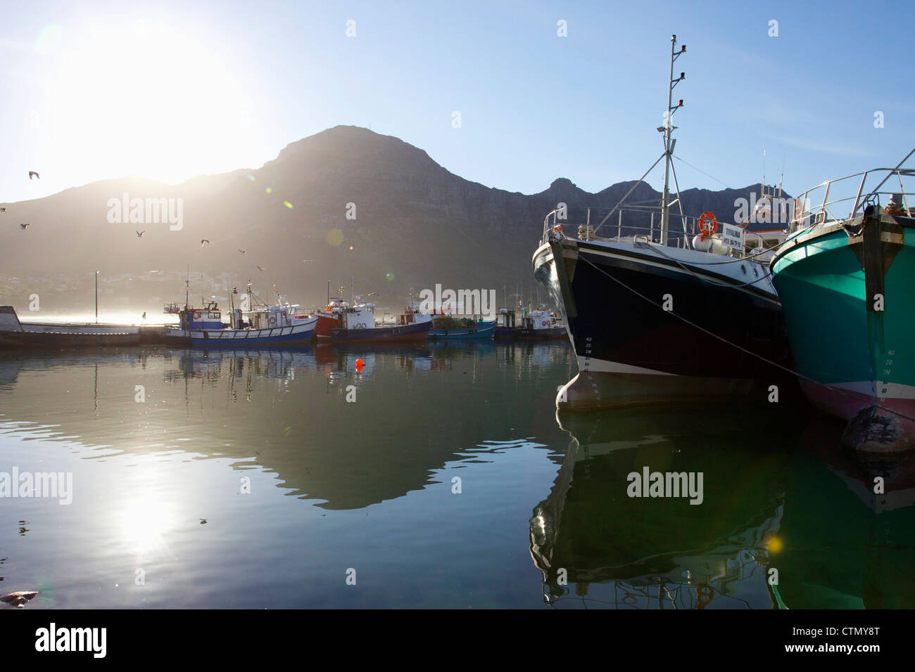 Barche e yacht ormeggiati nel porto di Hout Bay, Western Cape, Sud Africa Foto Stock