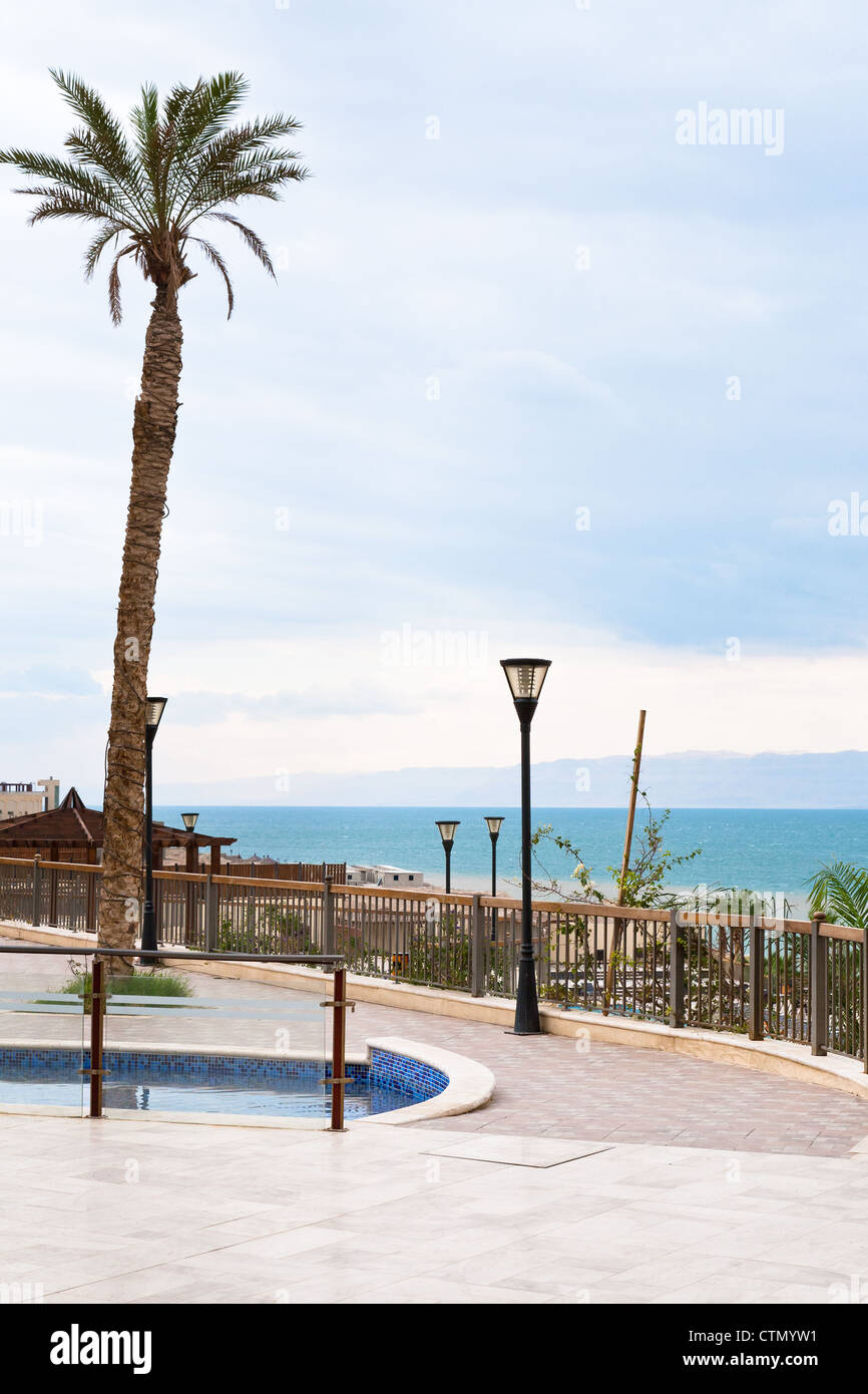 Le palme in resort sul Mar Morto, Giordania Foto Stock
