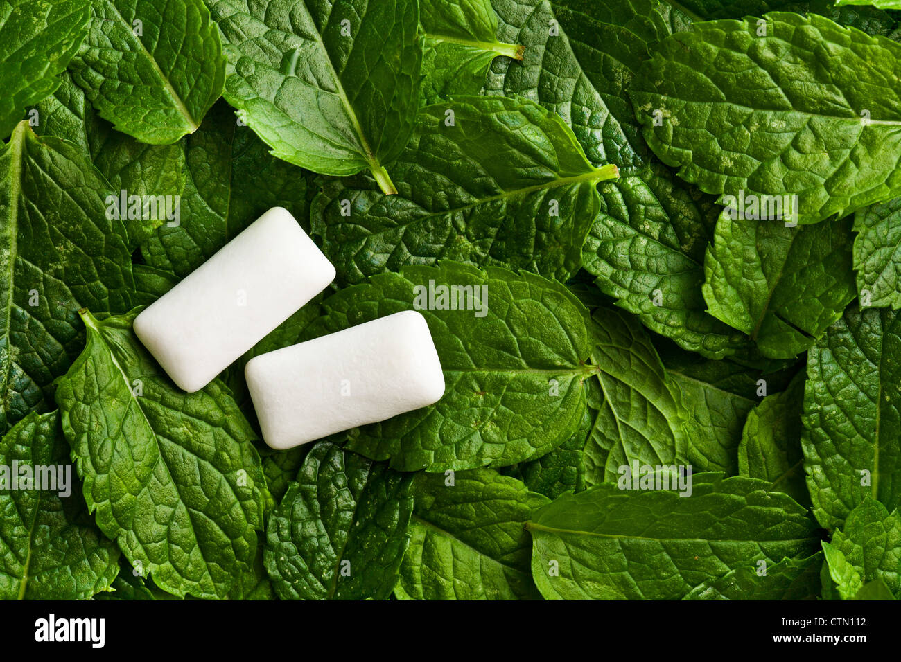 Le foglie di menta e la gomma da masticare Foto stock - Alamy