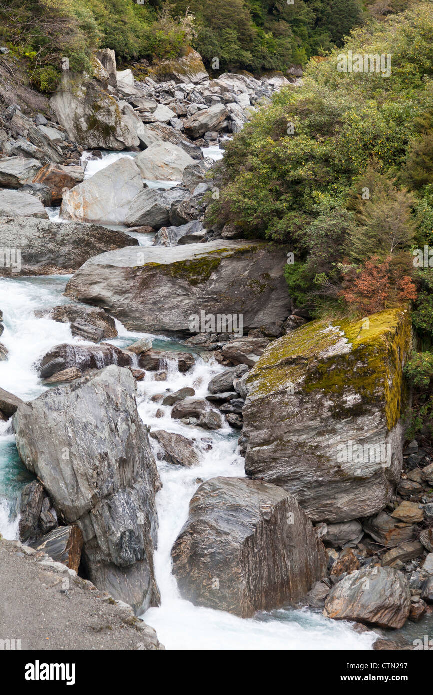 Giganteschi massi visto dal gate di Haast Bridge, Haast Pass, Nuova Zelanda Foto Stock