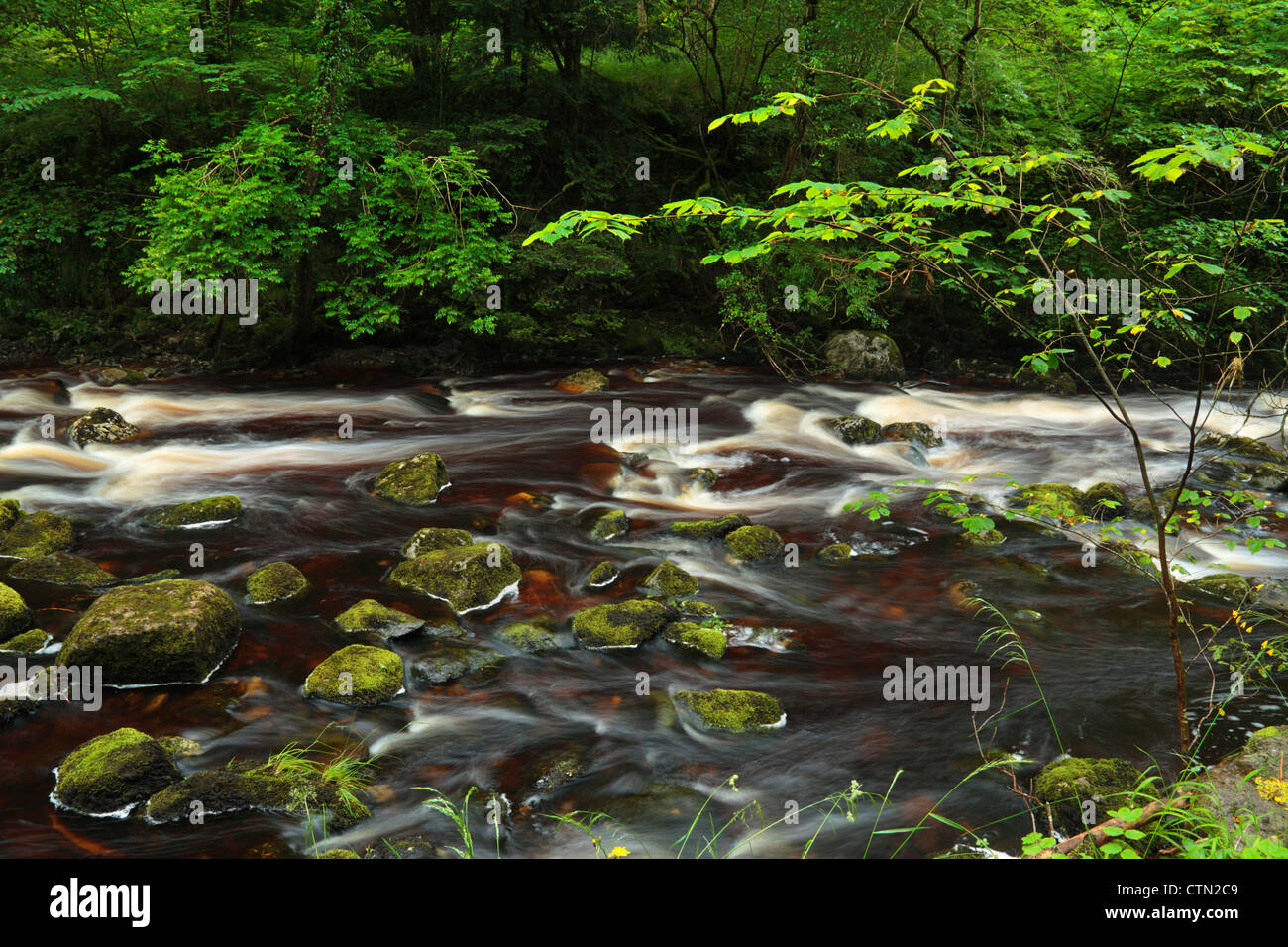 Il fiume Twiss in estate vicino Ingleton nel Yorkshire Dales di Inghilterra Foto Stock