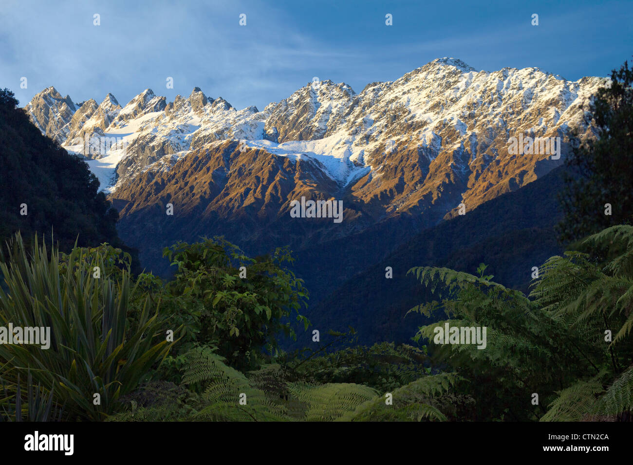Montagne e foreste, Westland National Park, Nuova Zelanda Foto Stock