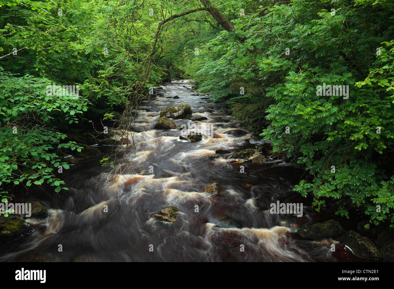 Il fiume Twiss in estate vicino Ingleton nel Yorkshire Dales di Inghilterra Foto Stock