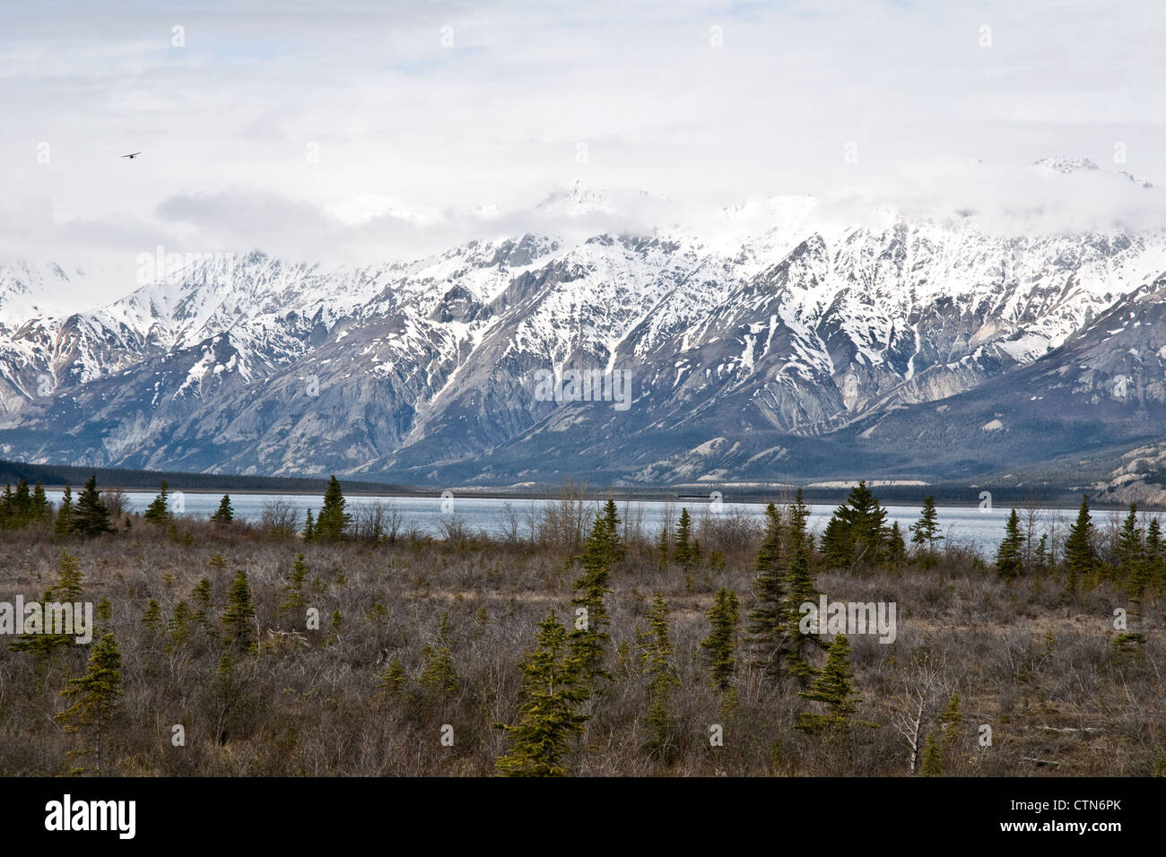Una Cessna vola sopra il lago Kluane e la valle del fiume Slims nel Parco Nazionale di Kluane. Montagne di St. Elias, territorio di Yukon, Canada. Foto Stock
