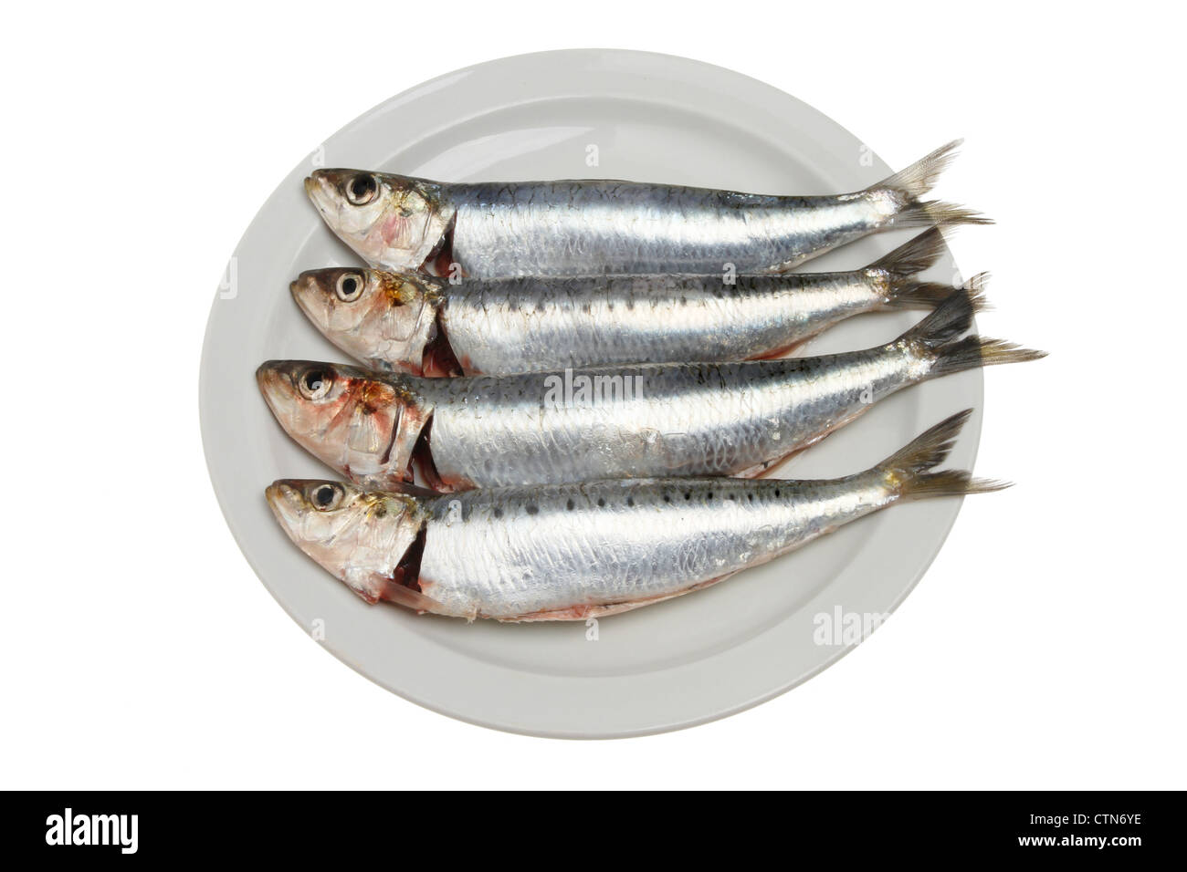 Quattro le sardine fresche su una piastra isolata contro bianco Foto Stock