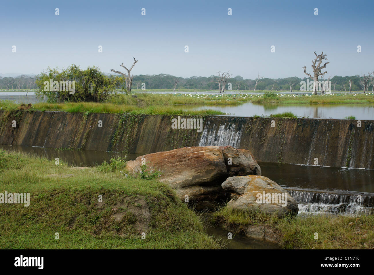 Il serbatoio e il canale di scarico in Yala National Park, Sri Lanka Foto Stock