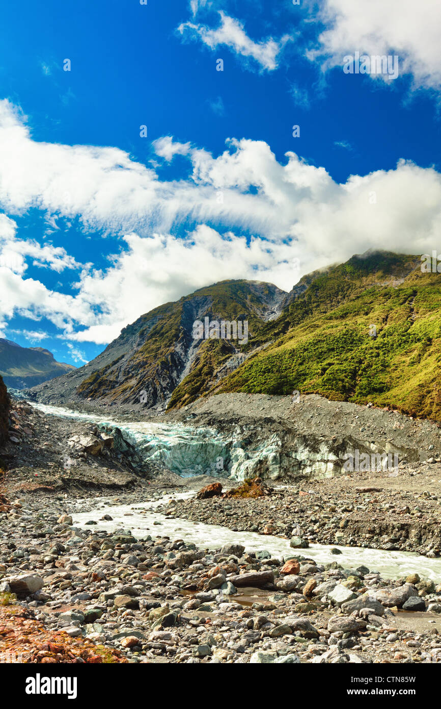 Fox Glacier in Nuova Zelanda Foto Stock
