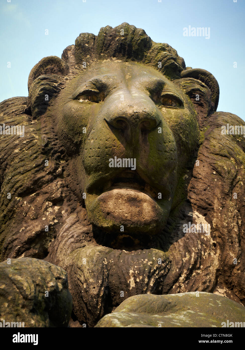 In prossimità di una testa di leone statua in Liverpool Regno Unito Foto Stock