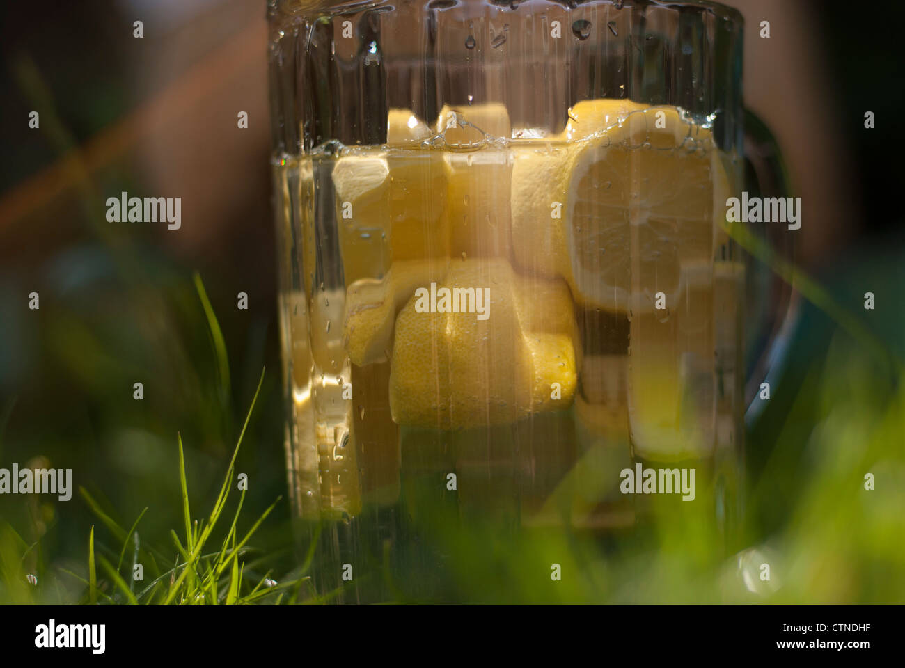 Un grande bicchiere di vetro di limoni e acqua, sull'erba. Foto Stock