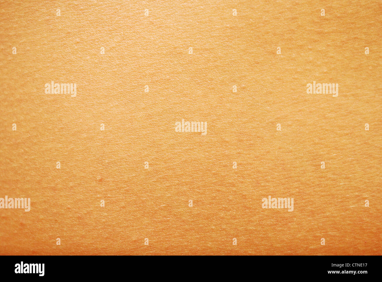 La pelle umana texture Foto Stock