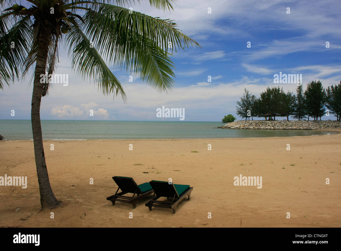 Spiaggia di sabbia attrezzata con sedie a sdraio e palme Foto Stock