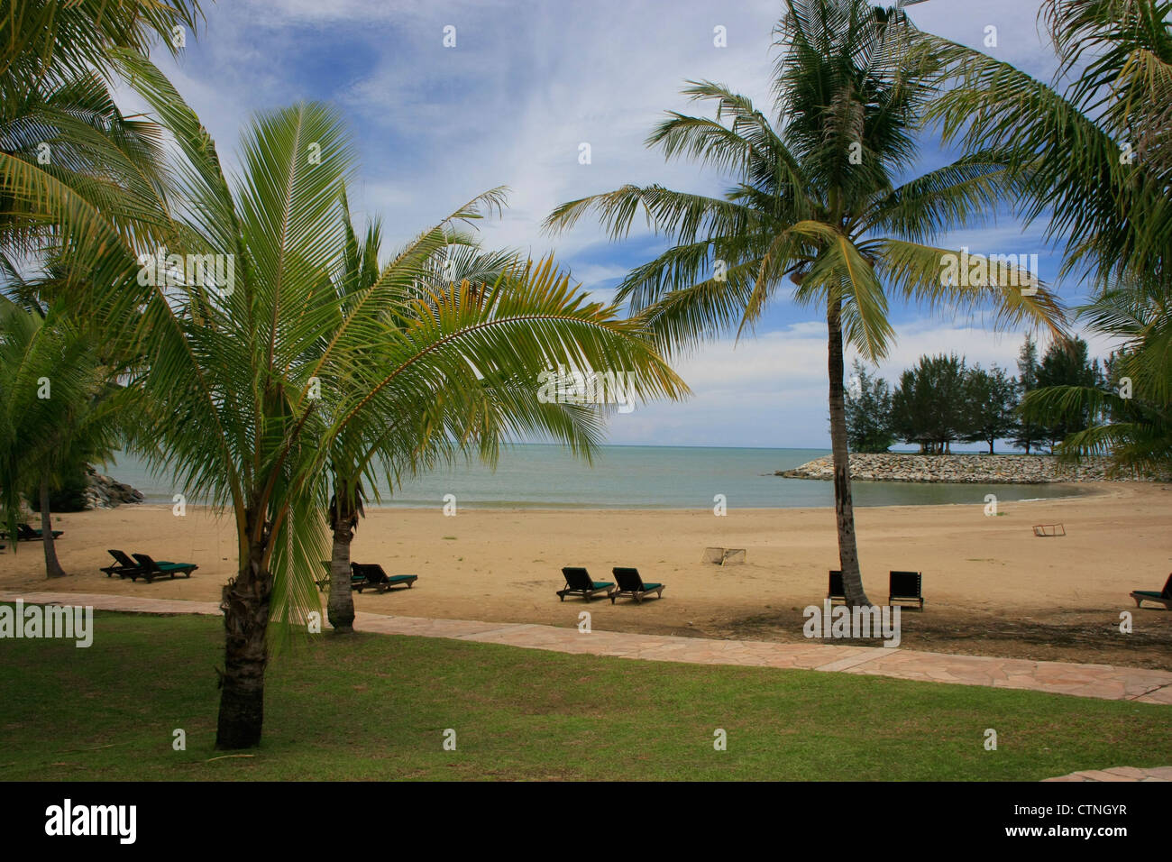 Spiaggia di sabbia attrezzata con sedie a sdraio e palme Foto Stock