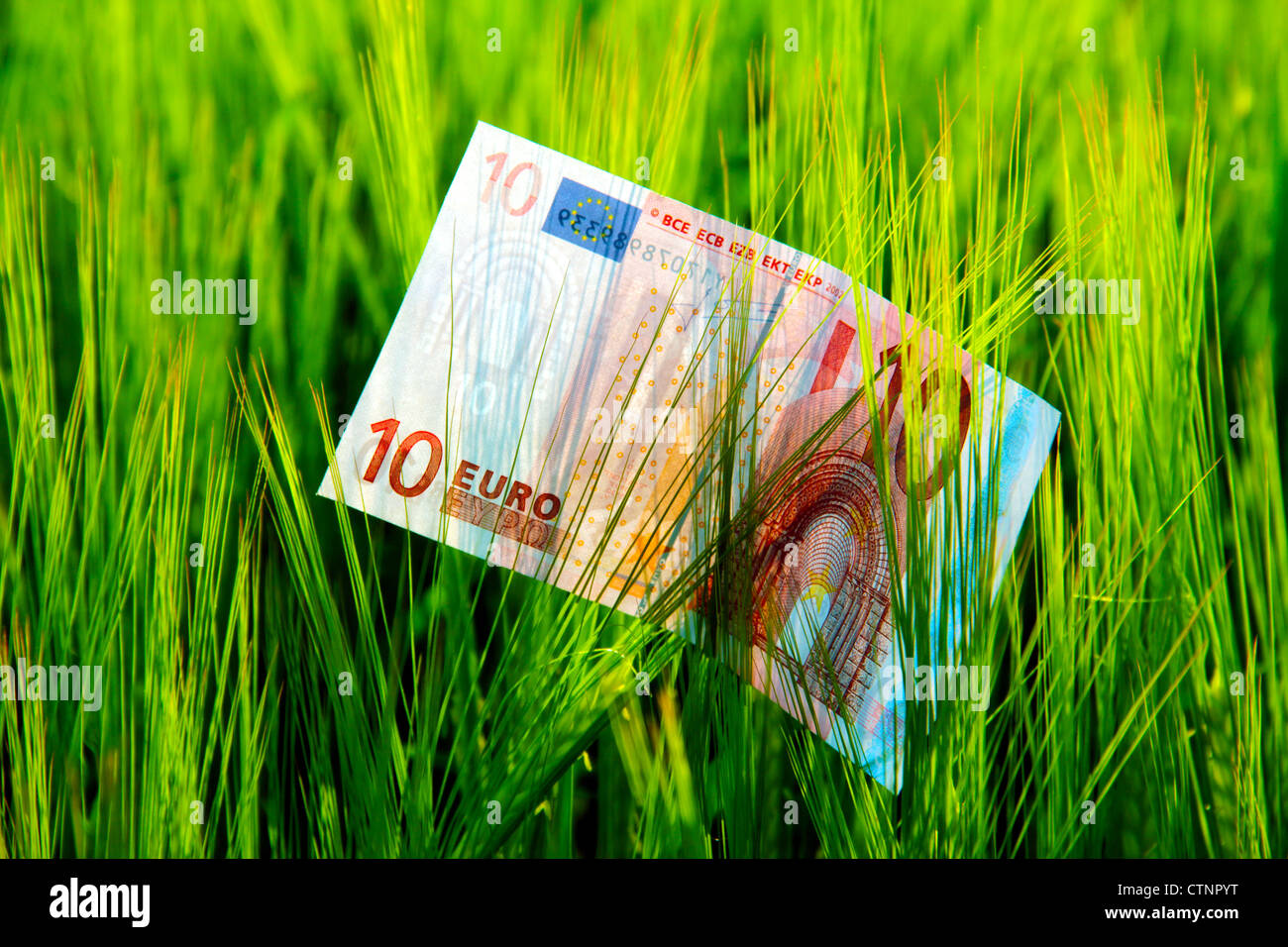 La carta moneta e orzo Foto Stock