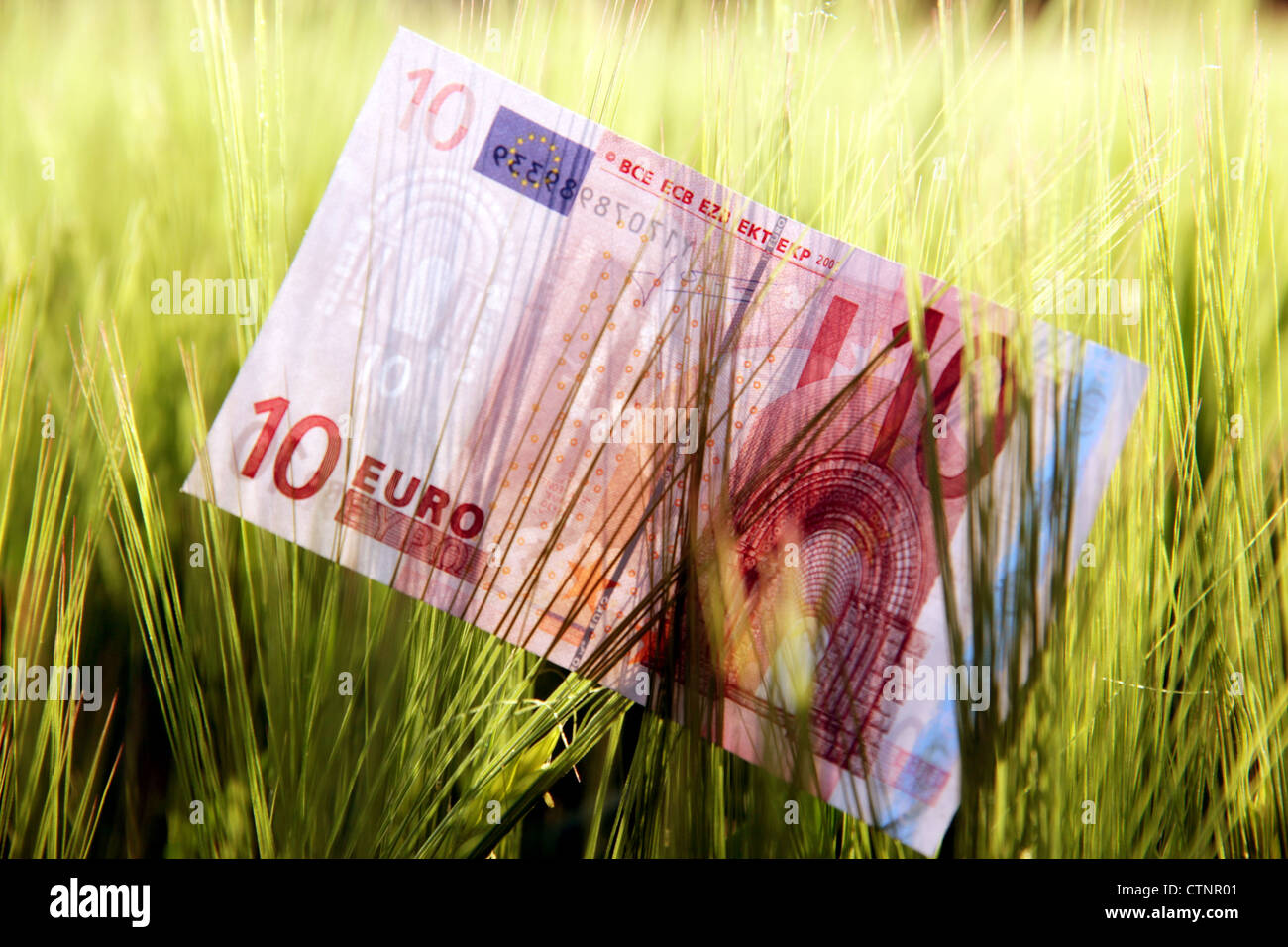 Il cibo era caro Foto Stock