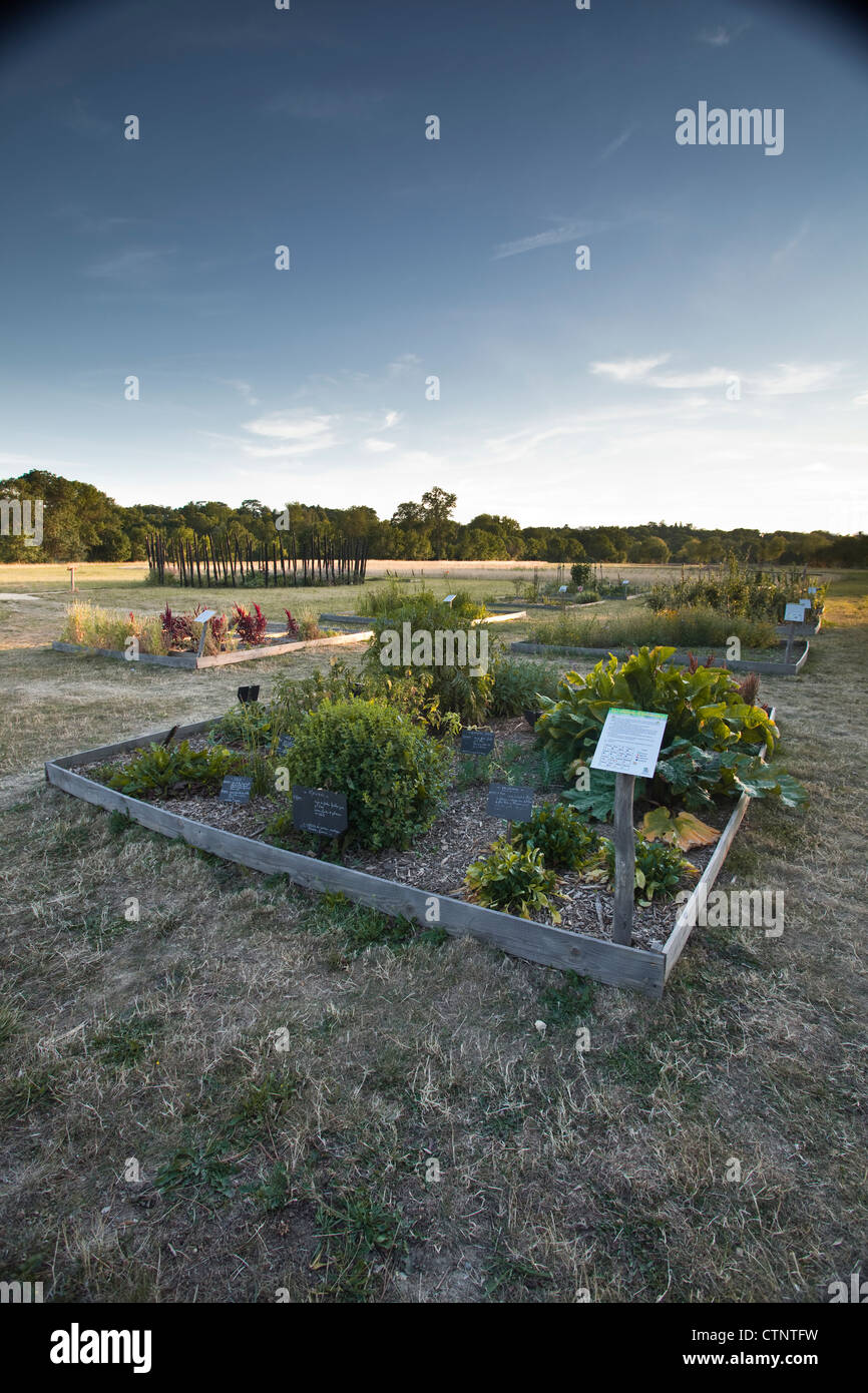 La Gloriette park della città di Tours Foto Stock