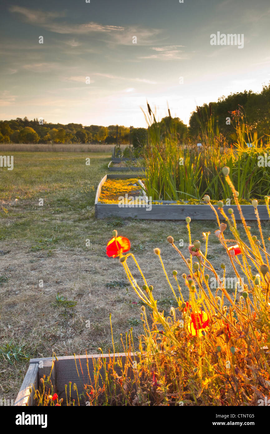 La Gloriette park della città di Tours Foto Stock