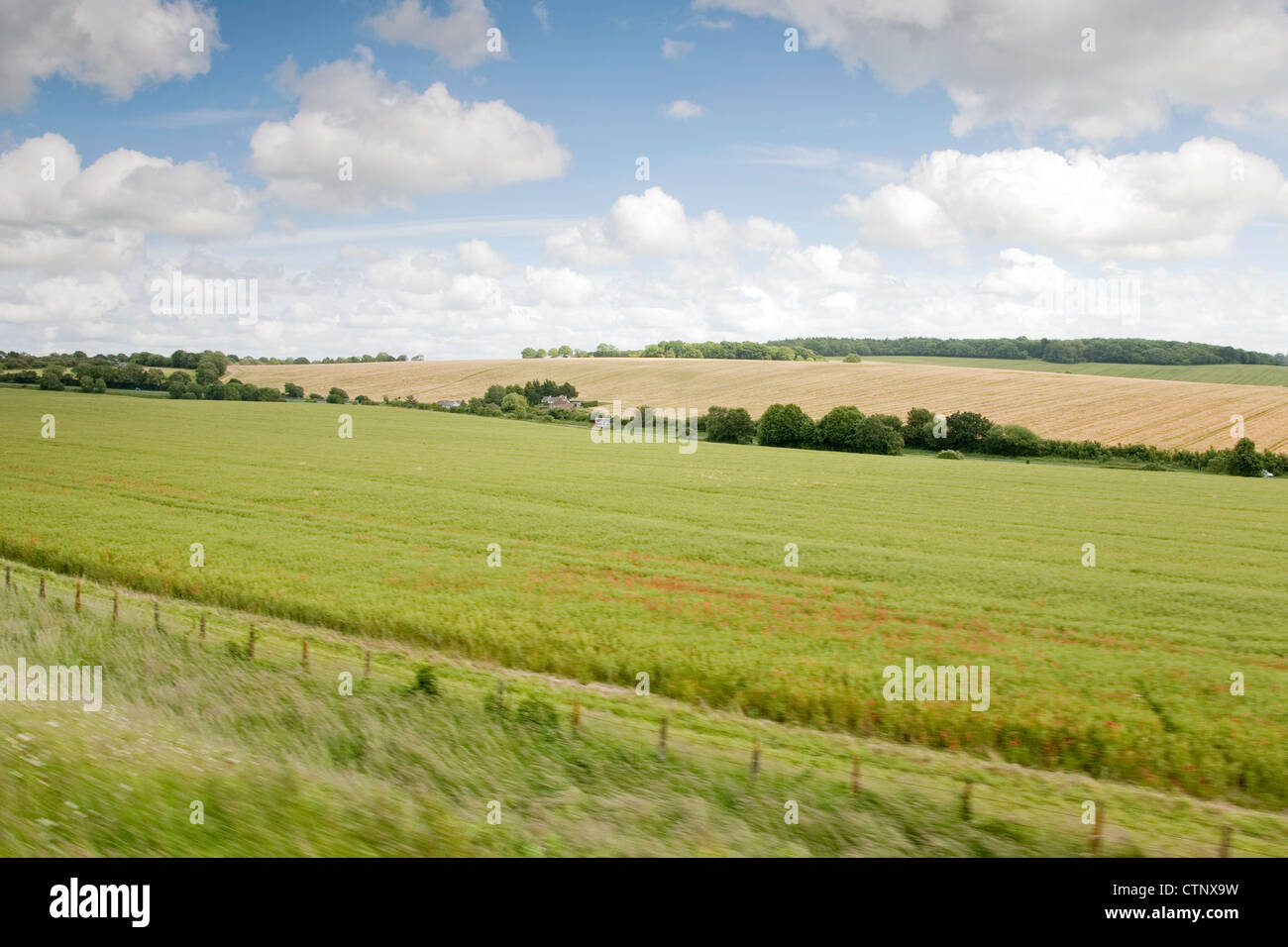 Hampshire paesaggio in Inghilterra, Regno Unito Foto Stock