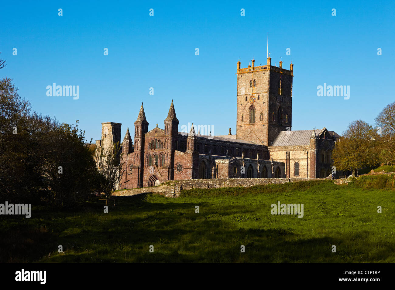 St David's Cathedral, St David's, Pembrokeshire, Wales, Regno Unito Foto Stock