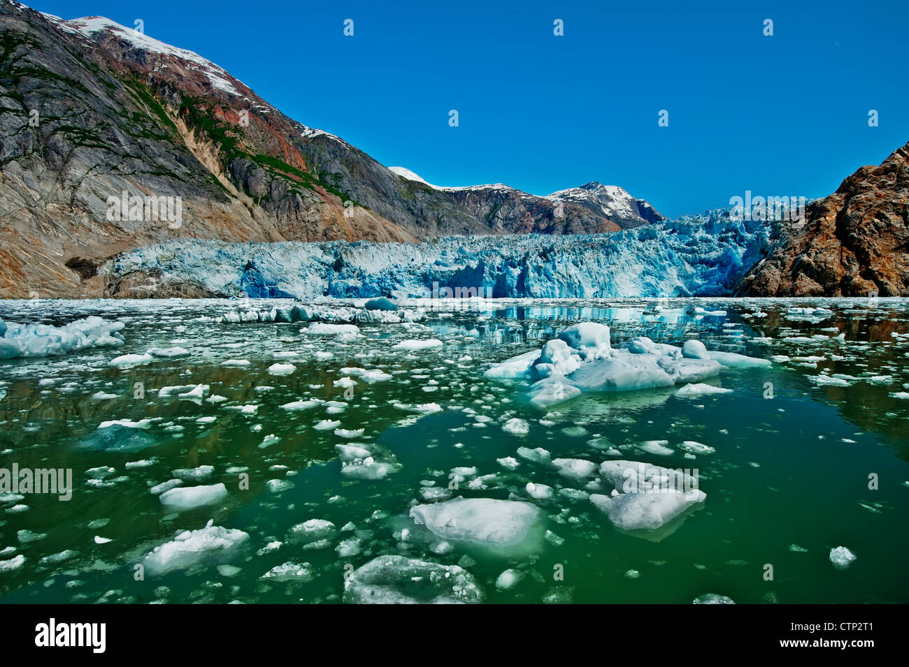 Estate bergs ghiaccio galleggiante nella parte anteriore del Sud Sawyer Glacier in Tracy Arm, Tracy Arm-Fords terrore deserto Souhteast Alaska Foto Stock
