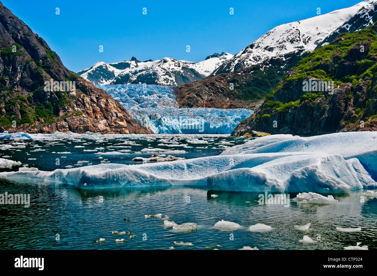 Estate bergs ghiaccio galleggiante nella parte anteriore del Sud Sawyer Glacier in Tracy Arm, Tracy Arm-Fords terrore deserto Souhteast Alaska Foto Stock