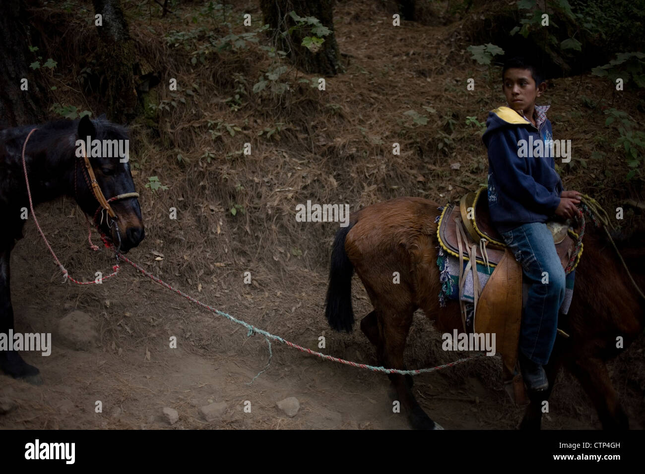 Un ragazzo corse a cavallo in Cerro Pelon Santuario per farfalle monarca vicino villaggio Capulin in Messico membro, Messico Foto Stock