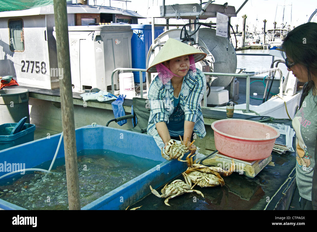 Signora vendere live dungeness granchi da barca Foto Stock