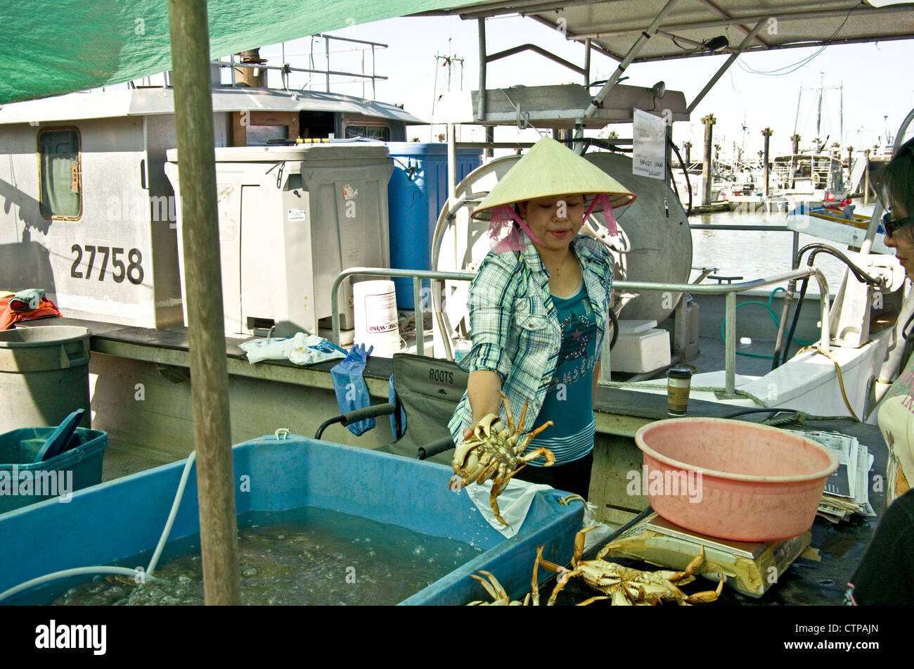 Signora vendere live dungeness granchi da barca Foto Stock