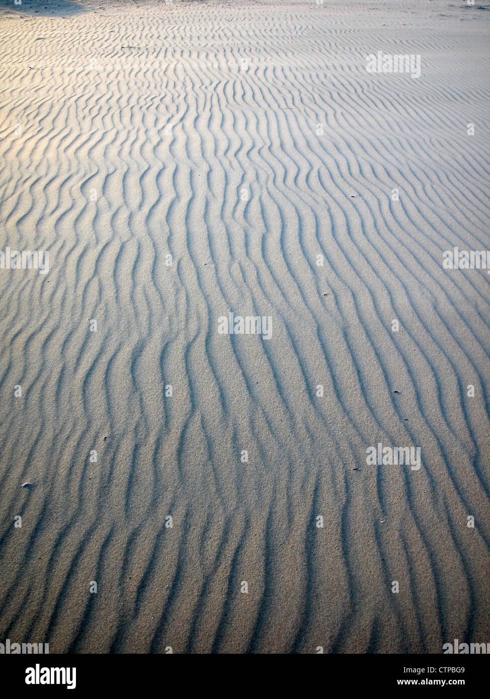 Dune di sabbia increspature su una spiaggia Foto Stock