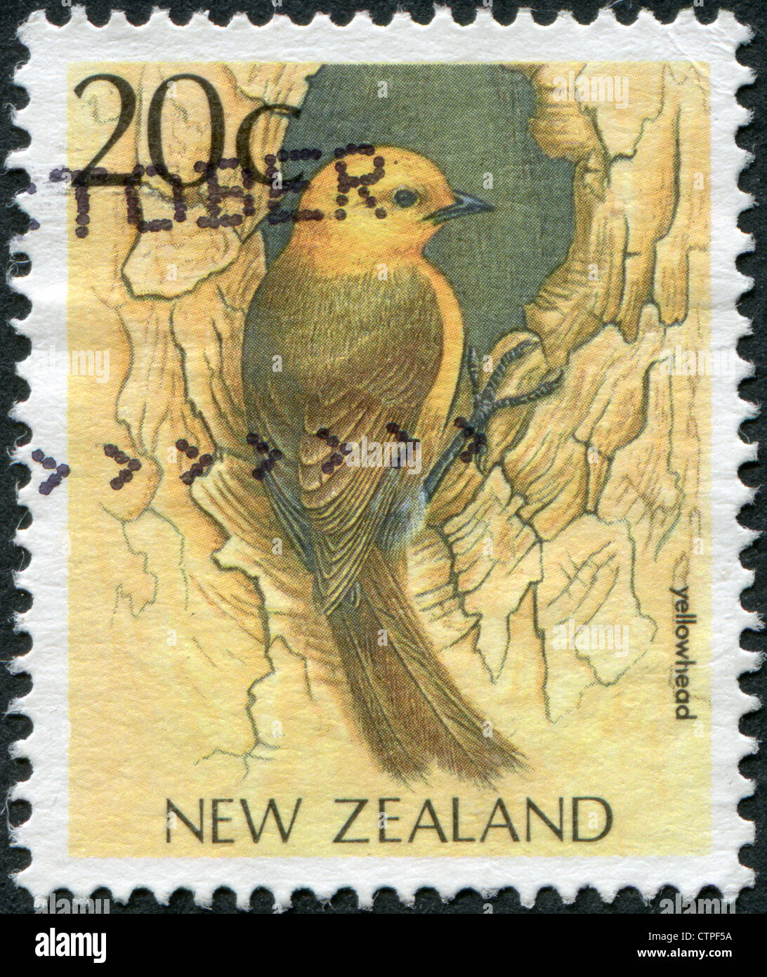 Nuova Zelanda - circa 1988: francobolli stampati in Nuova Zelanda, mostra un uccello a doppio spiovente (Philesturnus carunculatus), circa 1988 Foto Stock
