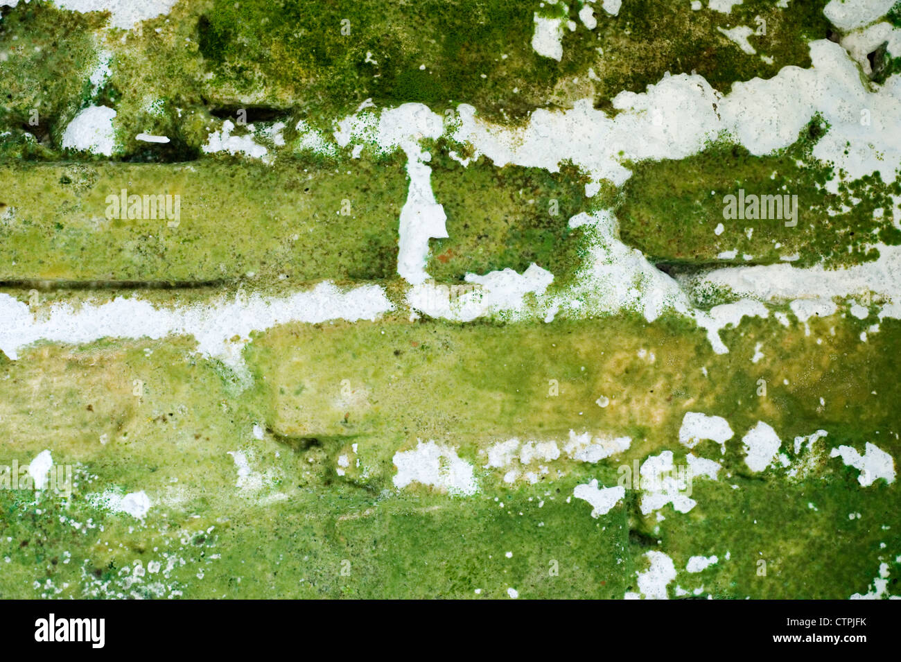 Grave l'umidità ascendente su una casa di parete esterna vista comune in Indonesia Foto Stock