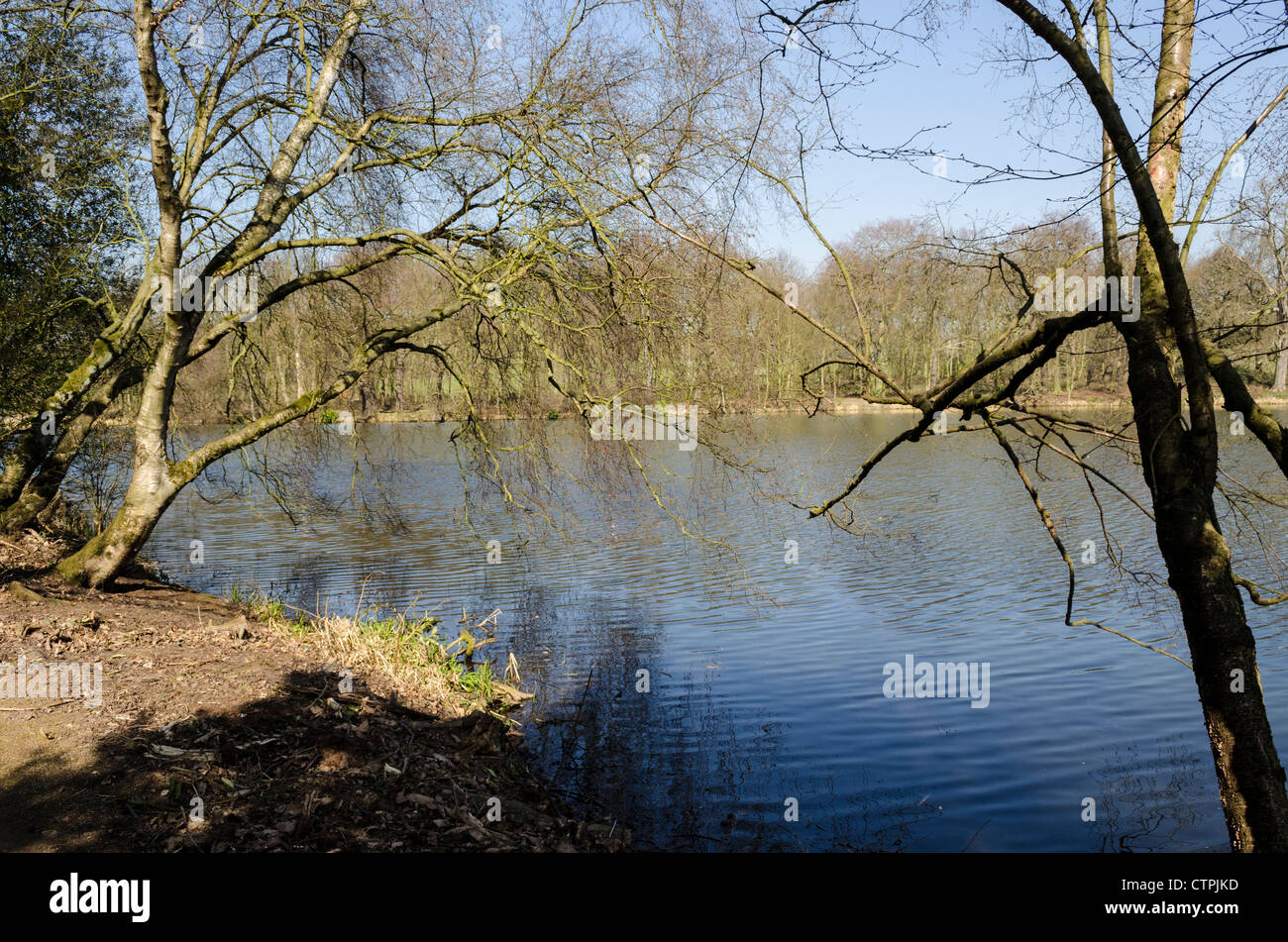 Una splendida e tranquilla primavera scena attraverso un incantevole lago Foto Stock