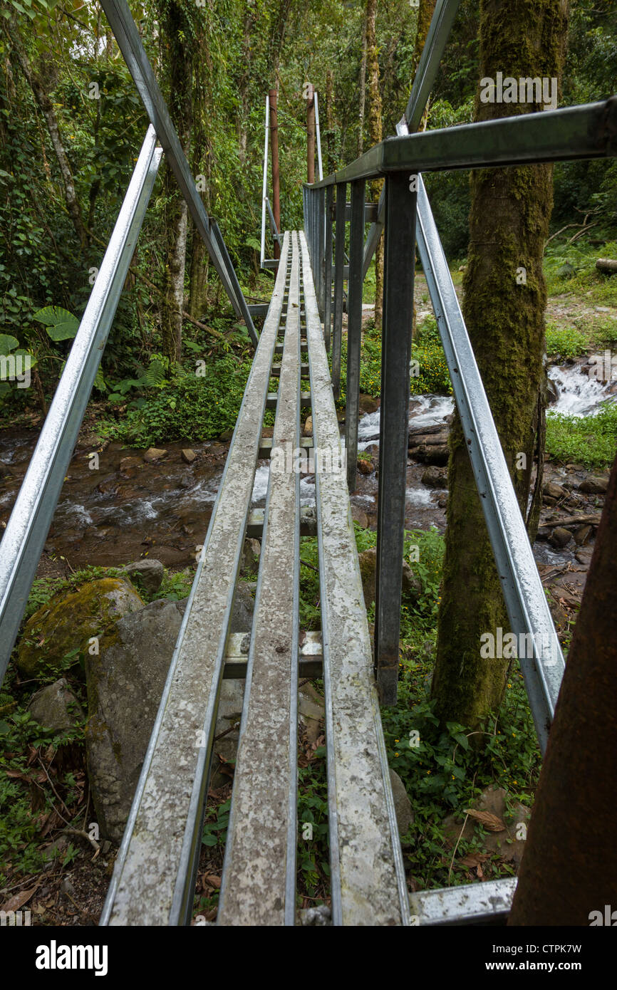 Passerella sul fiume lungo il Bajo Mono trail al di fuori di Boquete, Chiriqui Provincia, Panama. Foto Stock