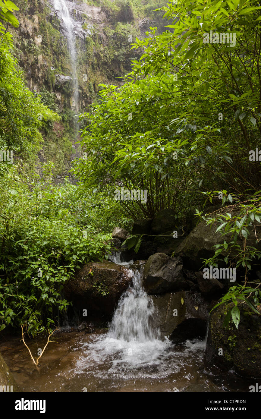 Cascata a Bajo Mono o sentiero della pipeline al di fuori di Boquete, Chiriqui Provincia, Panama. Foto Stock