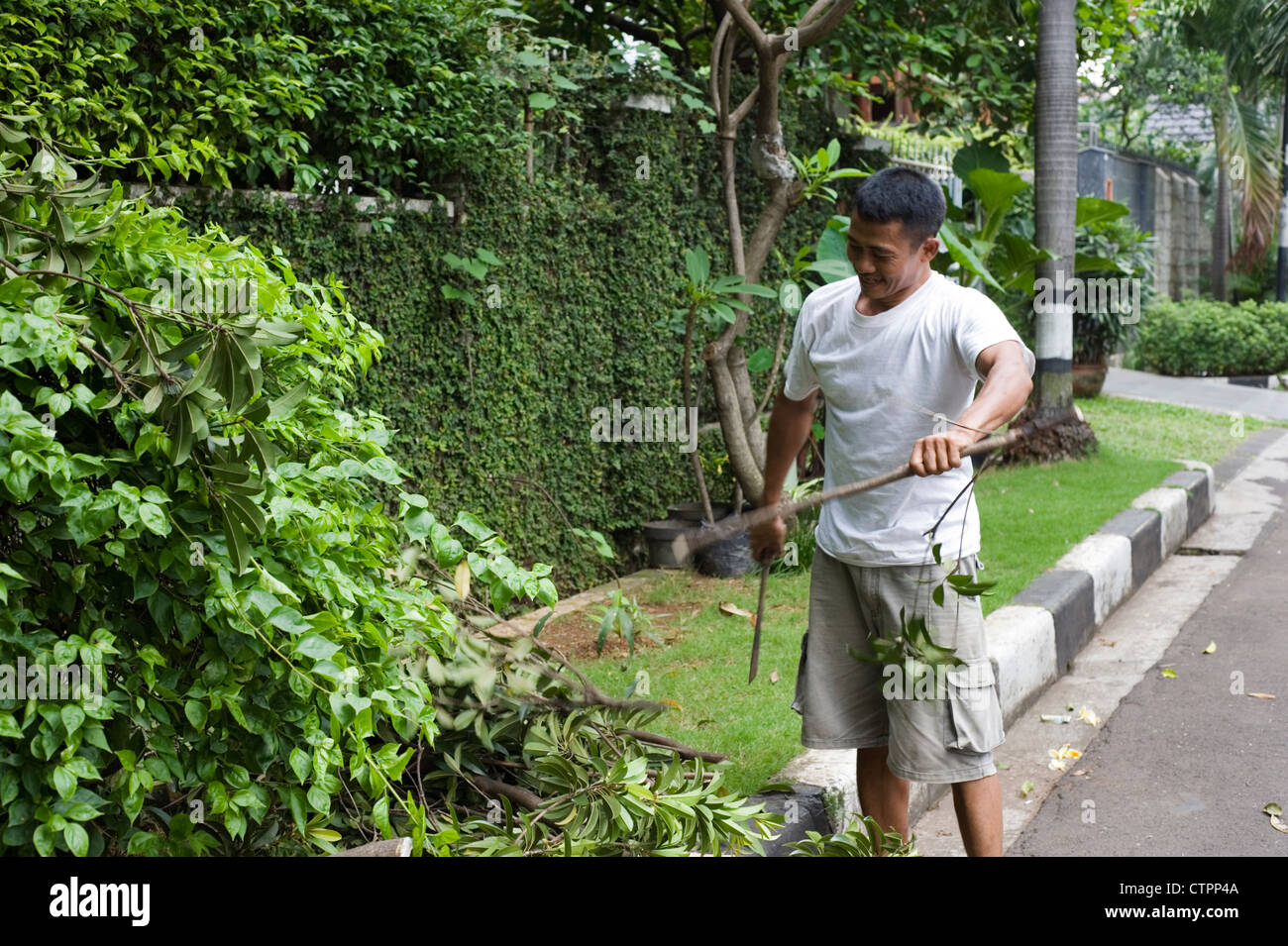 Giardiniere tagliare i rami degli alberi sulla scatola privato complesso indonesia jakarta Foto Stock