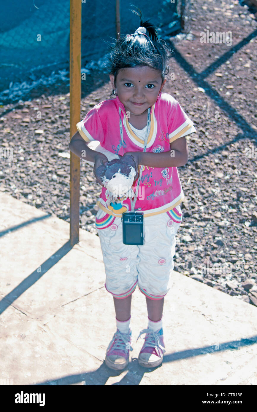 Piccola Ragazza con un piccione, India Foto Stock Piccola Ragazza con un piccione, India Foto Stock