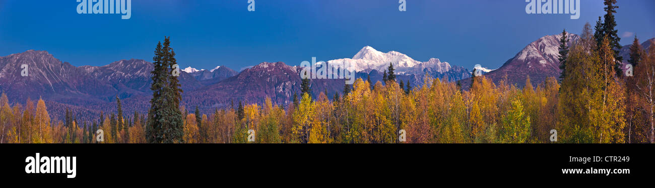 Panorama scenic di Mt. McKinley come si vede dal Veterans Memorial nel Denali State Park, centromeridionale Alaska, Autunno Foto Stock