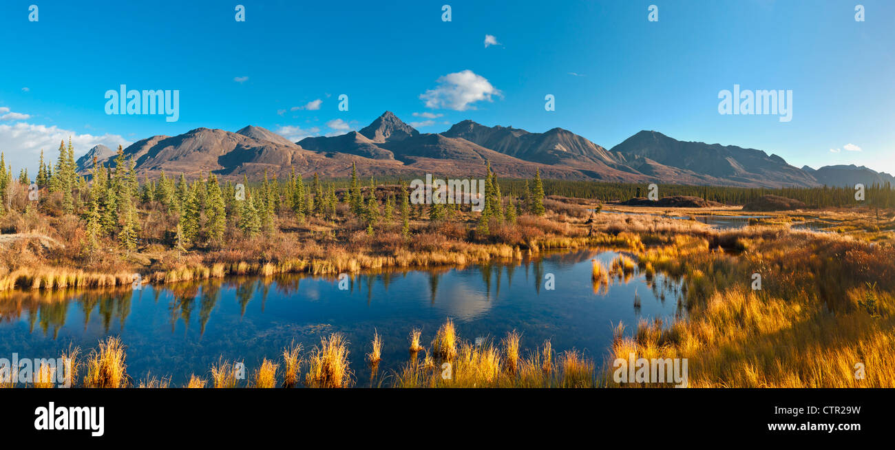 Scenic paesaggio di montagna con un laghetto in primo piano si vede dal Denali Highway, centromeridionale Alaska, Autunno Foto Stock