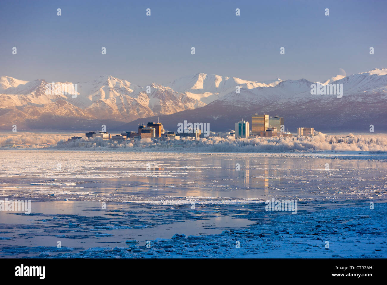 Brina copre alberi lungo lo skyline di ancoraggio icy Cook Inlet in primo piano sulla metà fredda giornata invernale centromeridionale Alaska Foto Stock