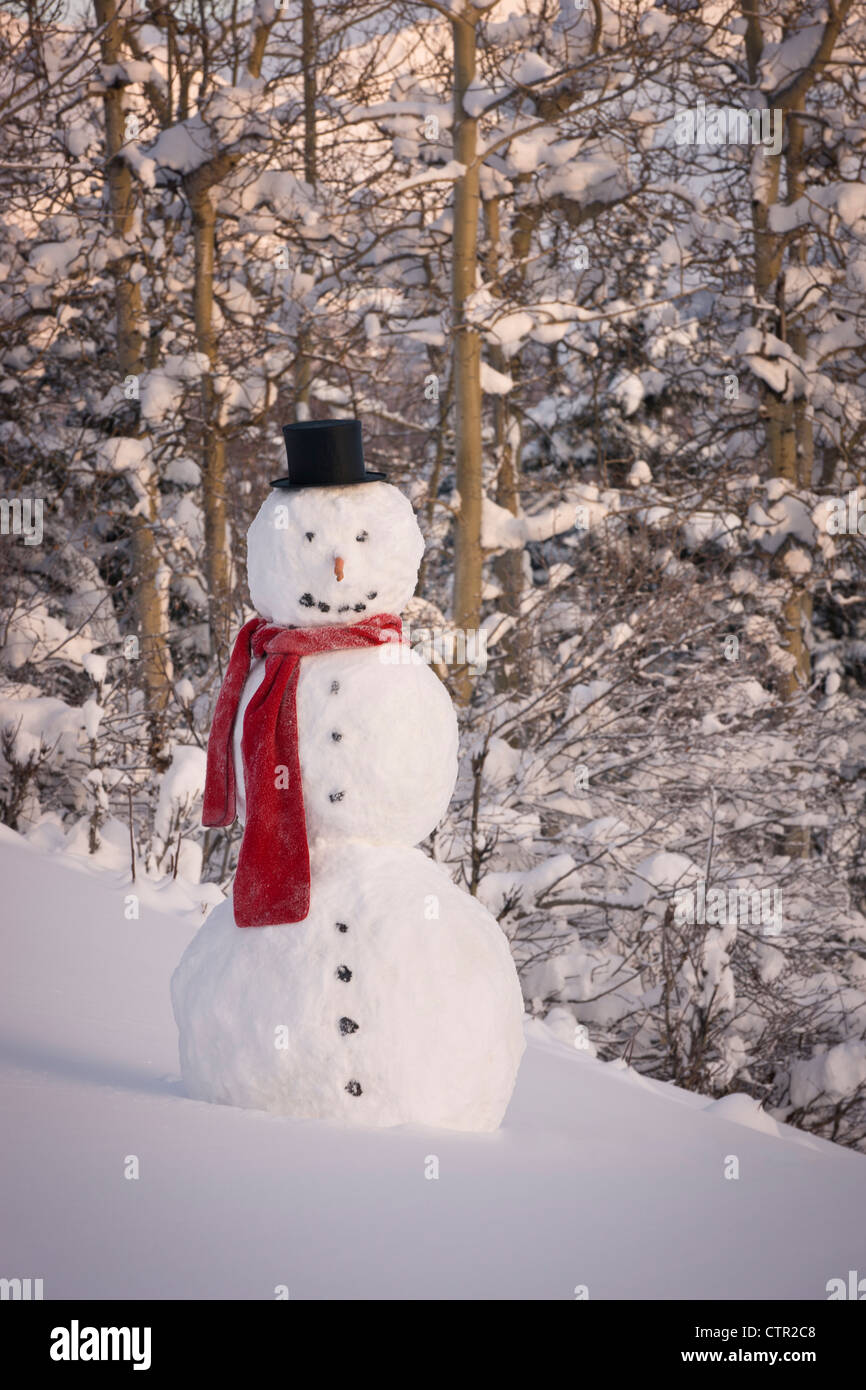 Foto pupazzo di neve indossando sciarpa rossa black top hat in piedi di fronte snowcovered foresta centromeridionale Anchorage in Alaska inverno Foto Stock