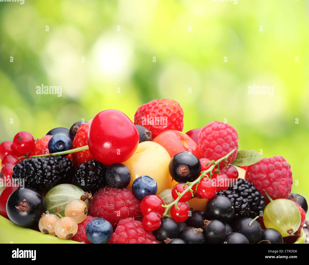 Varietà di frutti di bosco in estate il fogliame. Foto Stock