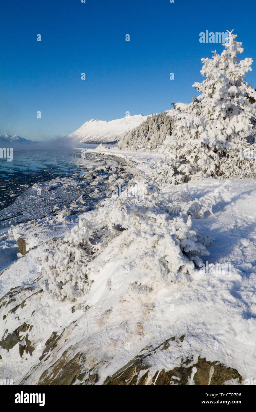 Un hoarfrosted scena invernale accanto al Seward Highway al km 87,4, Turnagain Arm, centromeridionale Alaska, inverno Foto Stock