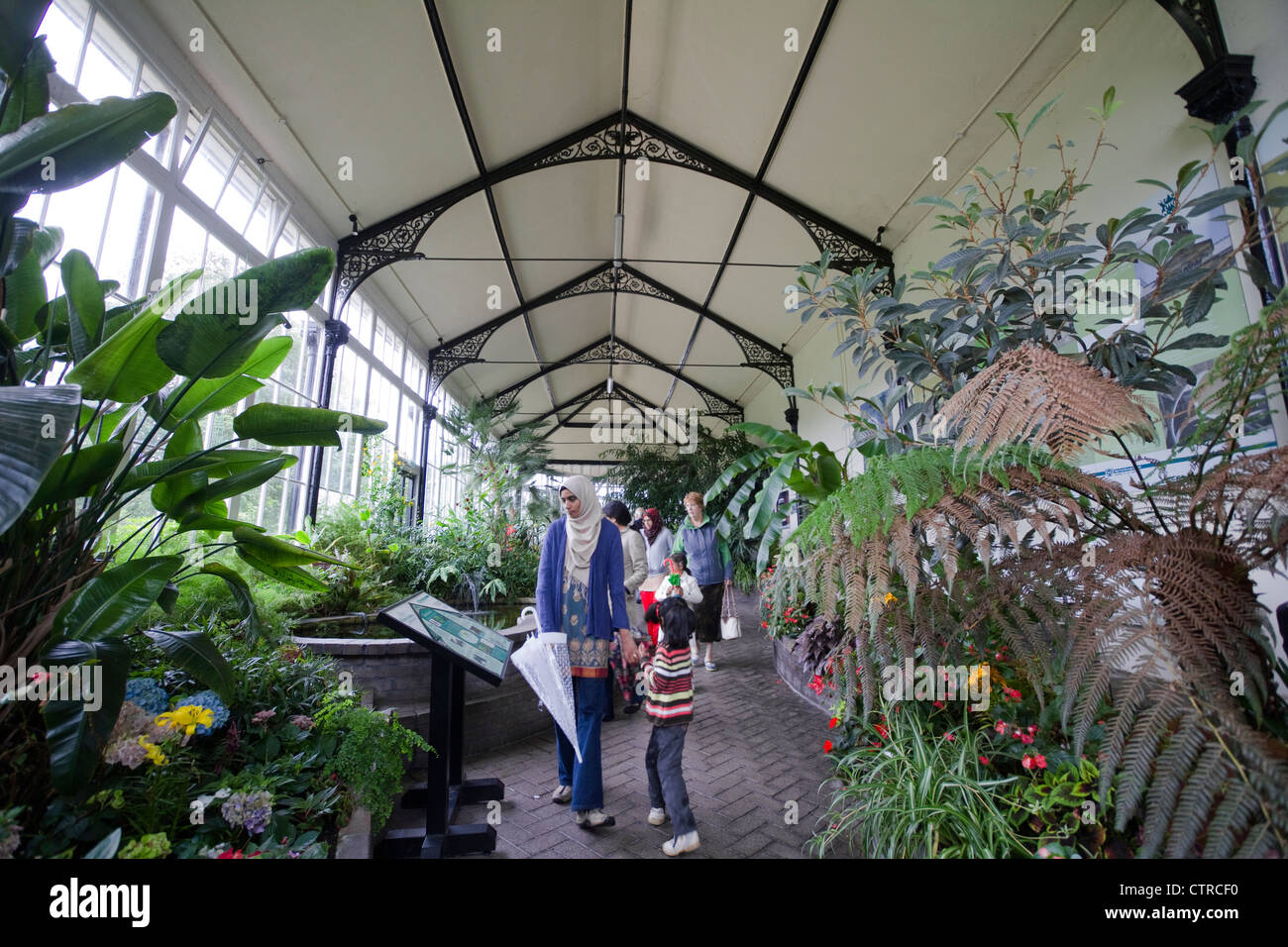 Pavilion serra tropicale, Buxton Derbyshire Peak District, UK. Foto Stock