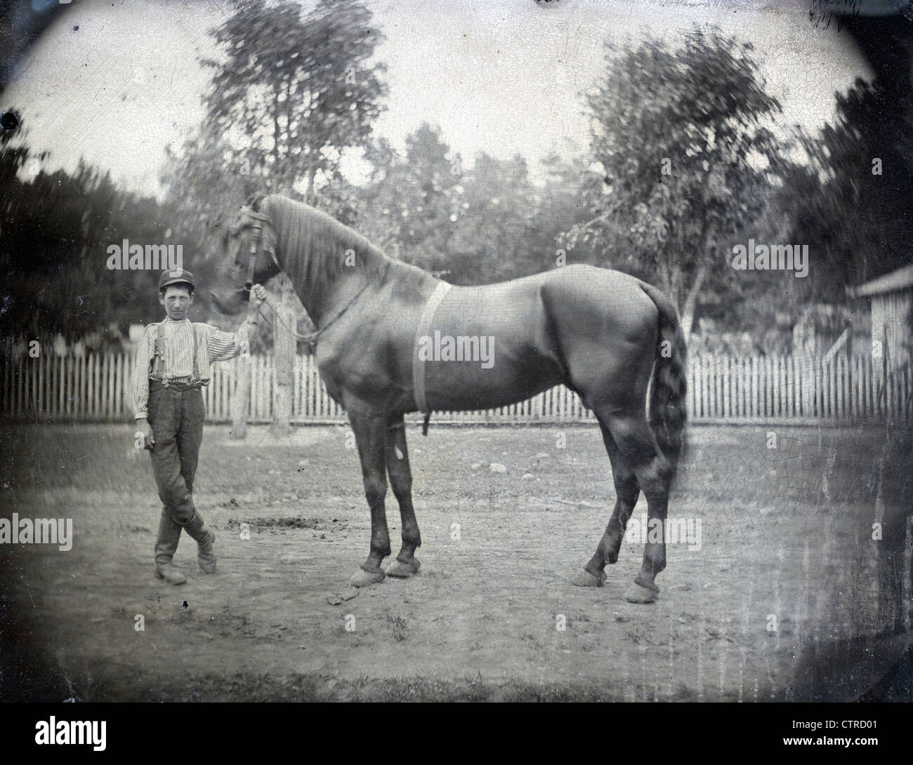 Ragazzo con cavallo, ca 1875 Foto Stock